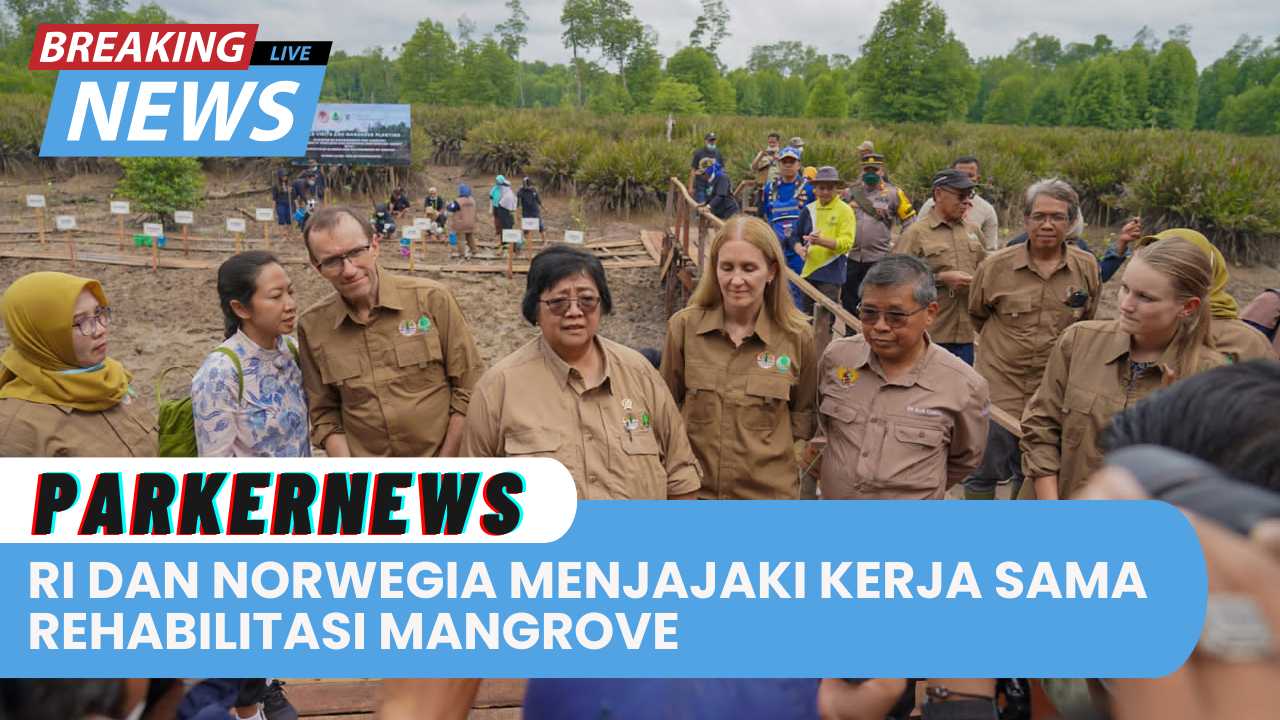 RI dan Norwegia Menjajaki Kerja Sama Rehabilitasi Mangrove